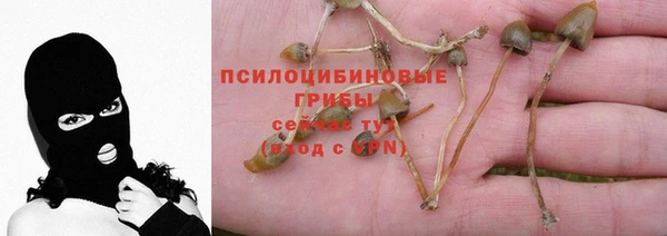 молекула духа Белоозёрский