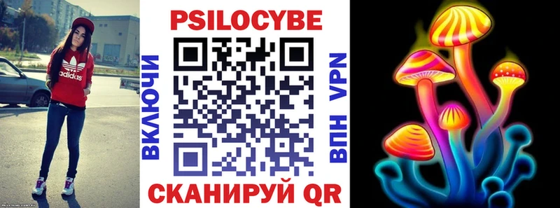 Купить где  Чита  Псилоцибиновые грибы GOLDEN TEACHER 